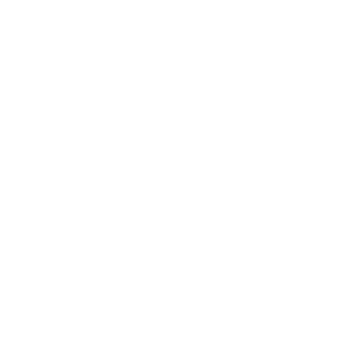 Digital Marketing promotion icon